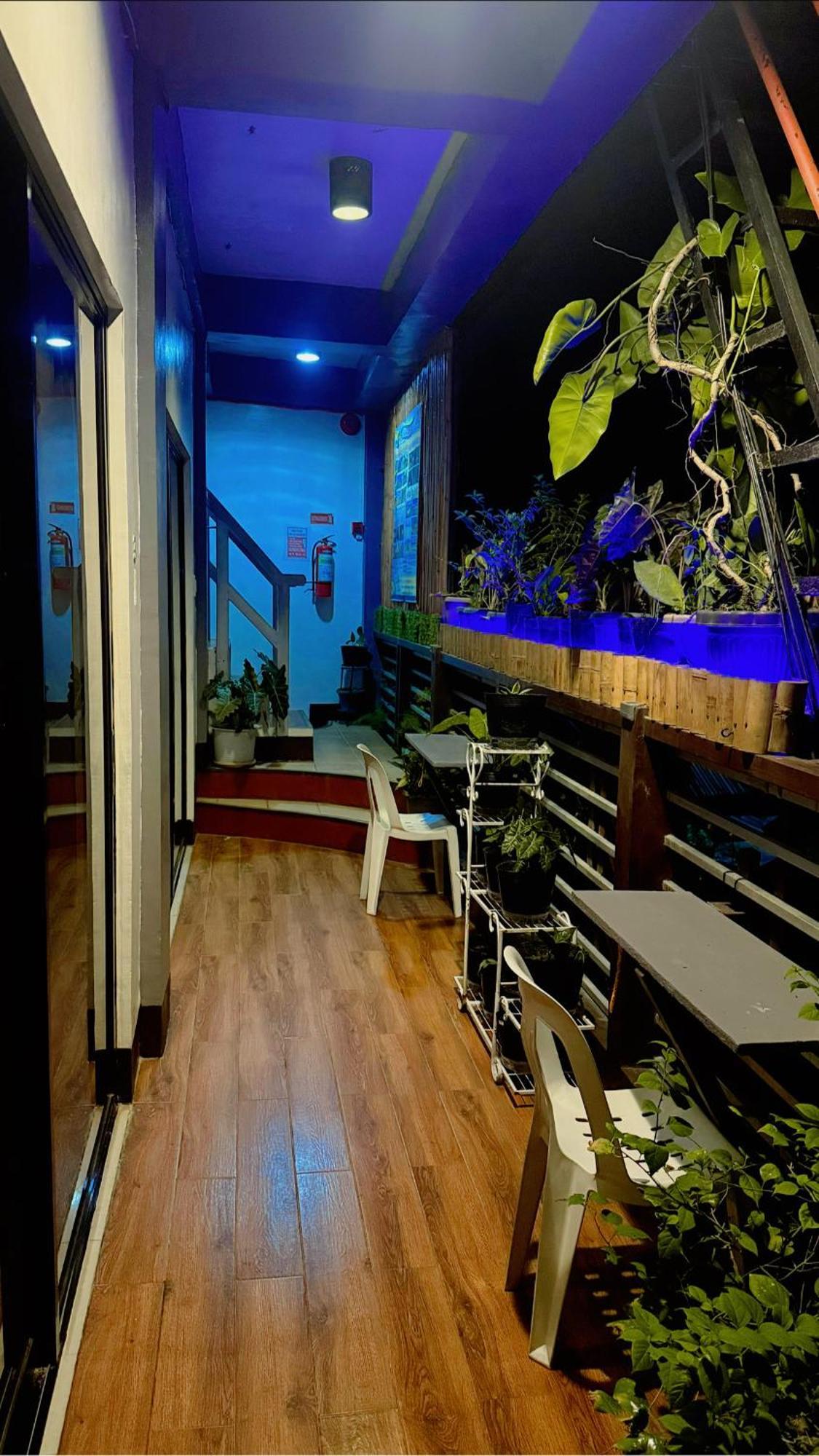 Lolo Bob'S Bed And Breakfast 엘니도 외부 사진