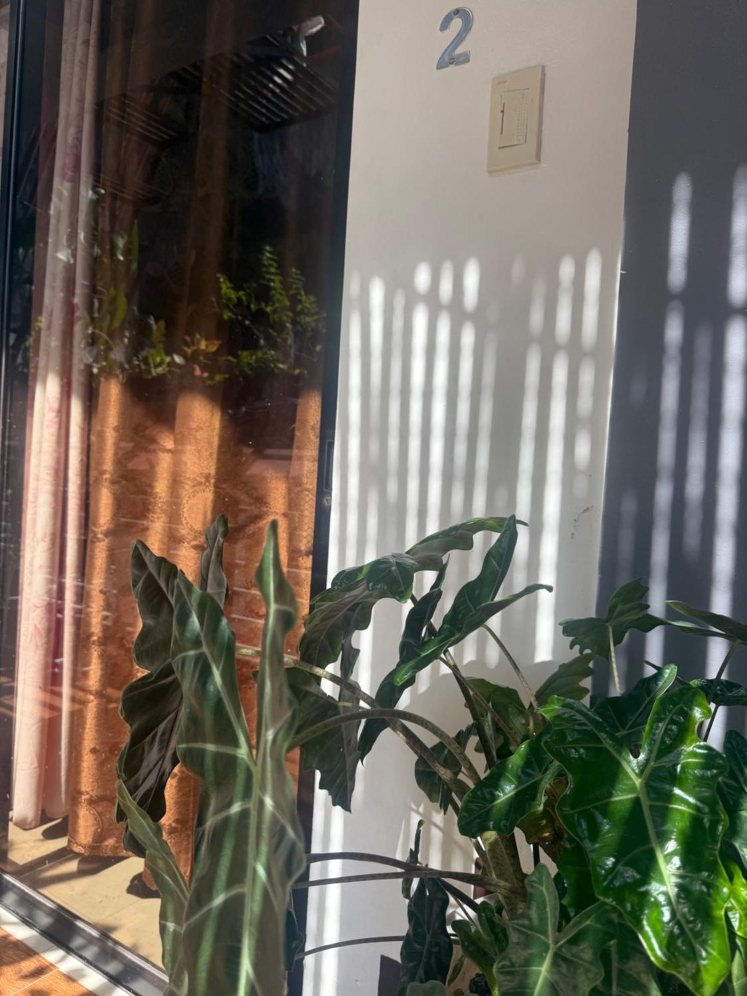Lolo Bob'S Bed And Breakfast 엘니도 외부 사진